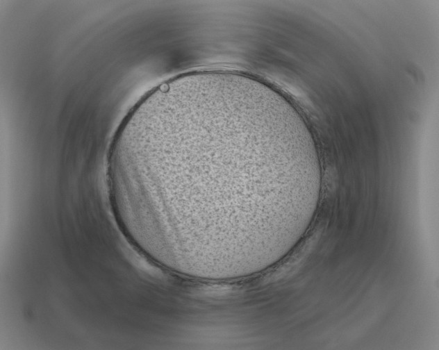 X0000114441470200911061653