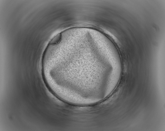 X0000114441471200911061653