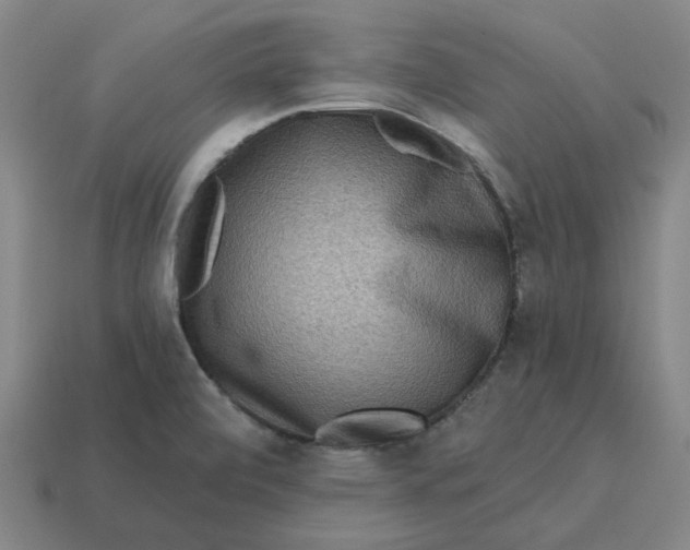 X0000114441472200911061653