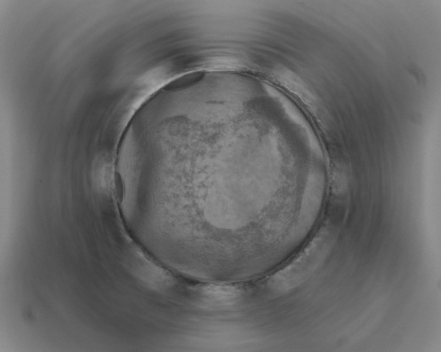 X0000114441473200911061653