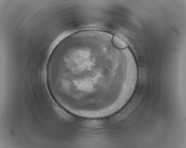 X0000114441474200911061653