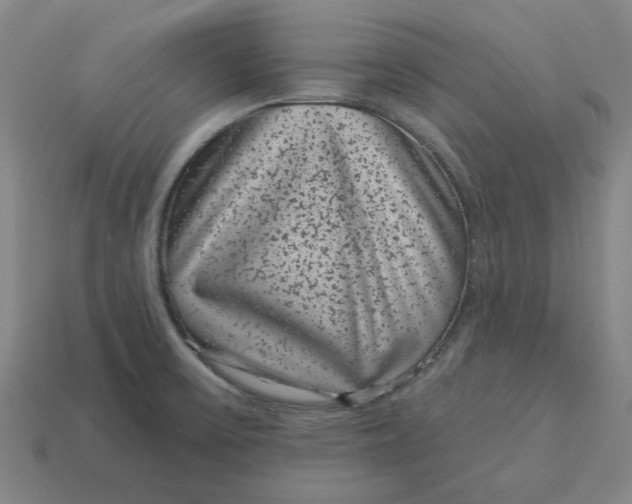 X0000114441475200911061653