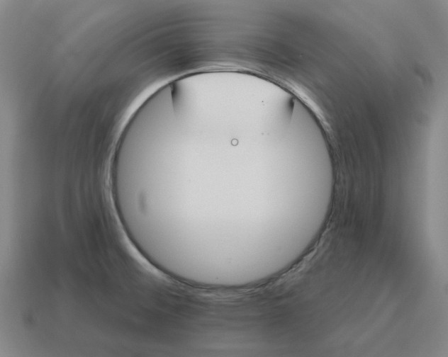 X0000114441476200911061653