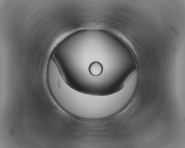 X0000114441477200911061653