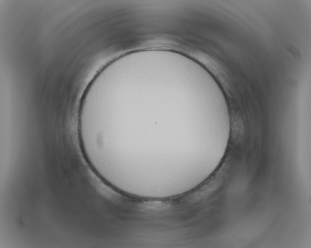 X0000114441478200911061653