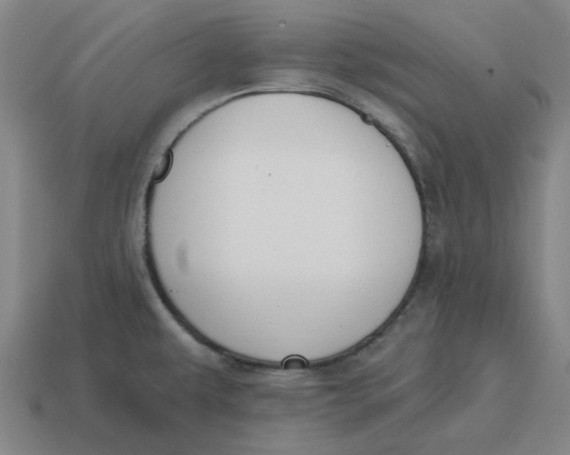 X0000114441479200911061653