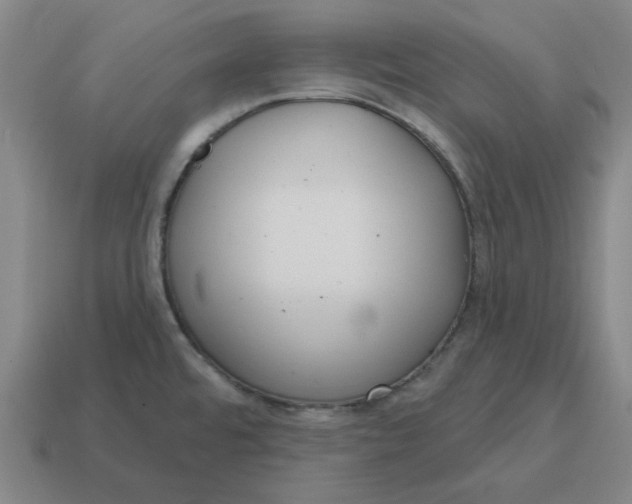 X0000114441480200911061653