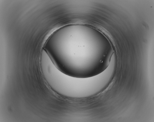 X0000114441481200911061653