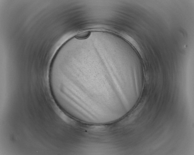 X0000114441482200911061653