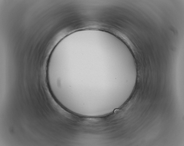 X0000114441483200911061653