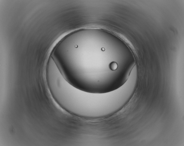 X0000114441484200911061653