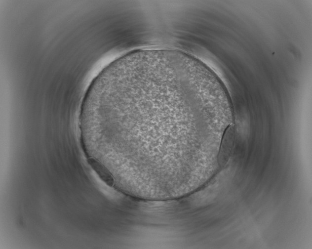 X0000114441485200911061653