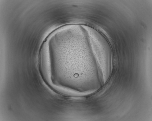 X0000114441487200911061653