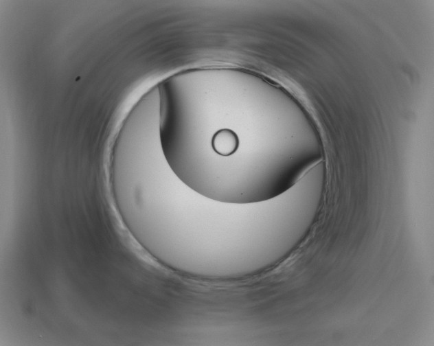 X0000114441488200911061653