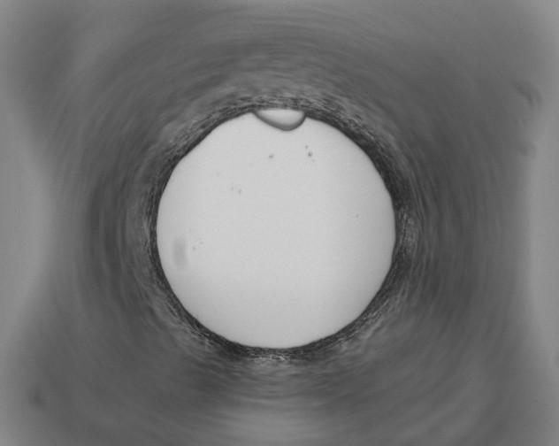 X0000114441489200911061652