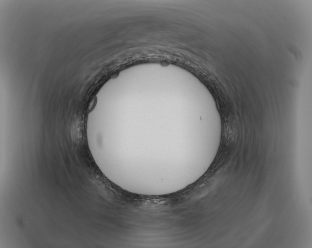 X0000114441490200911061652