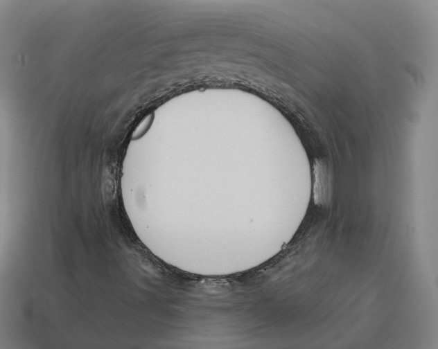 X0000114441491200911061652