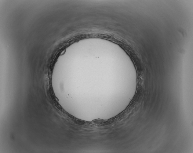 X0000114441493200911061652