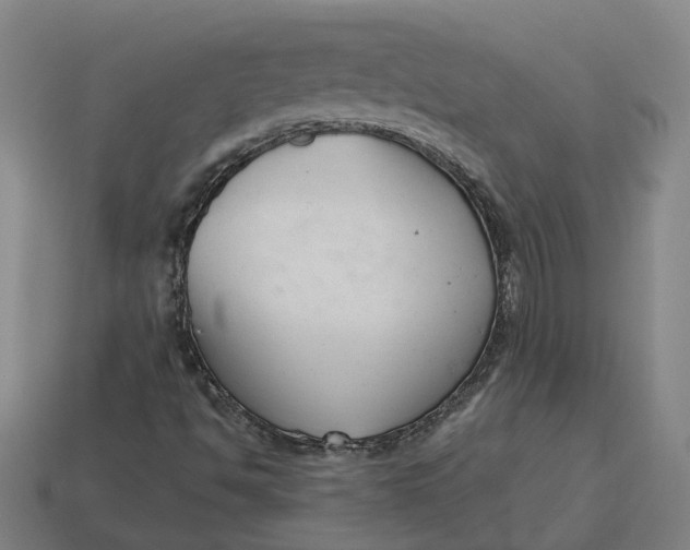 X0000114441494200911061653