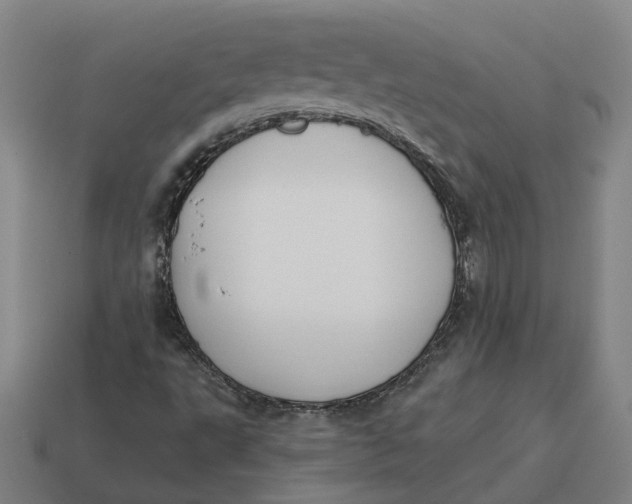 X0000114441495200911061653