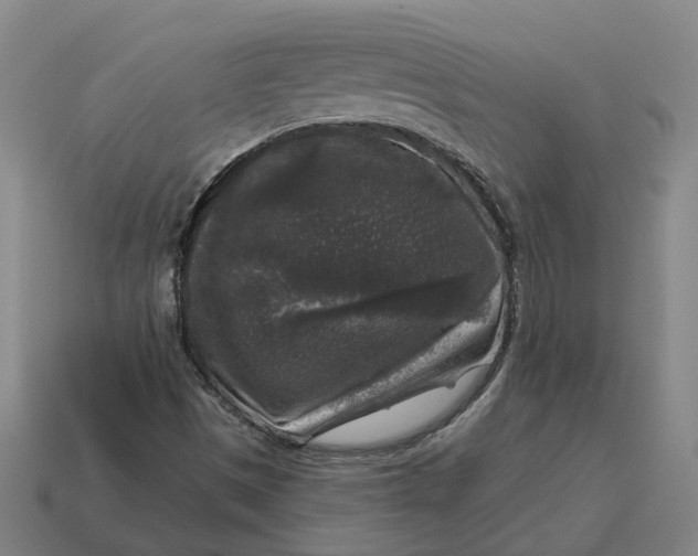 X0000114441497200911061653