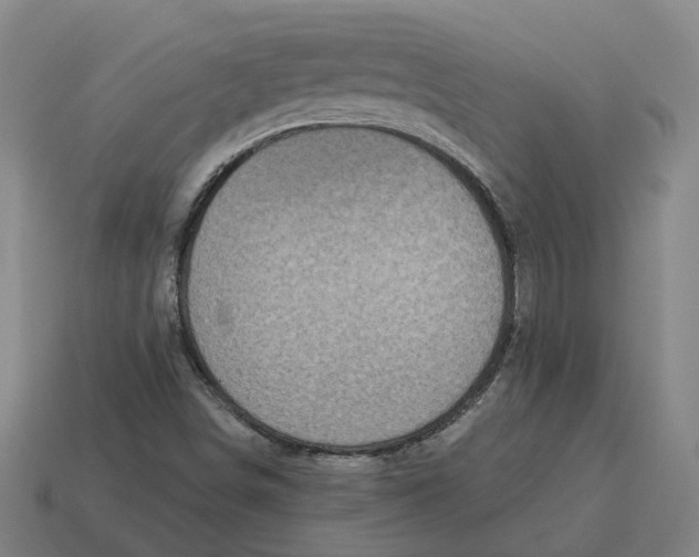 X0000114441498200911061653