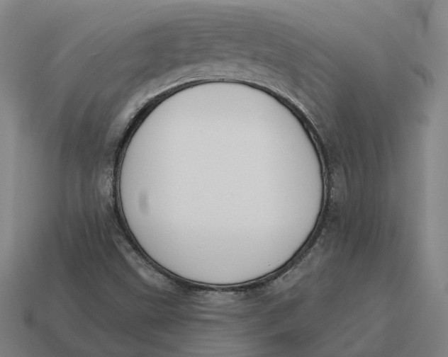 X0000114441499200911061653