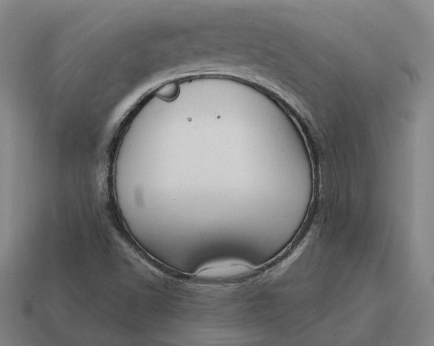 X0000114441502200911061653