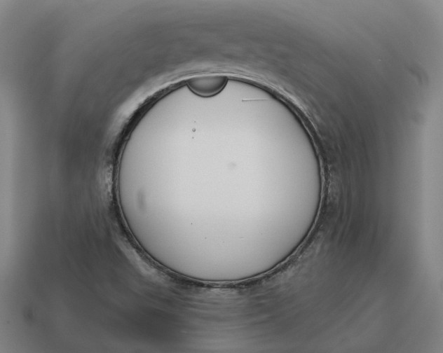 X0000114441503200911061653