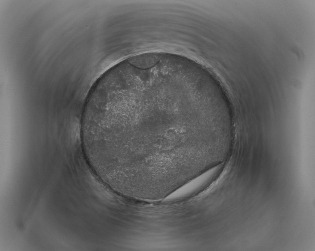 X0000114441505200911061653