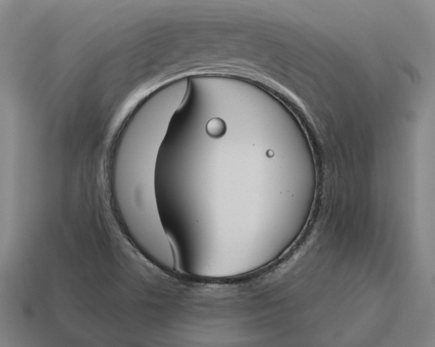 X0000114441506200911061653