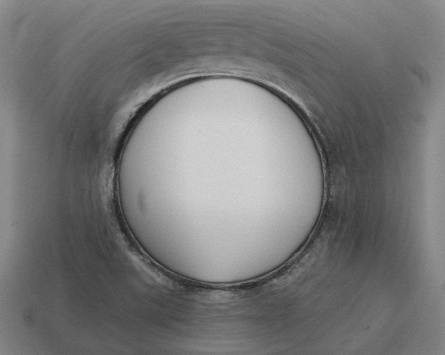 X0000114441507200911061653