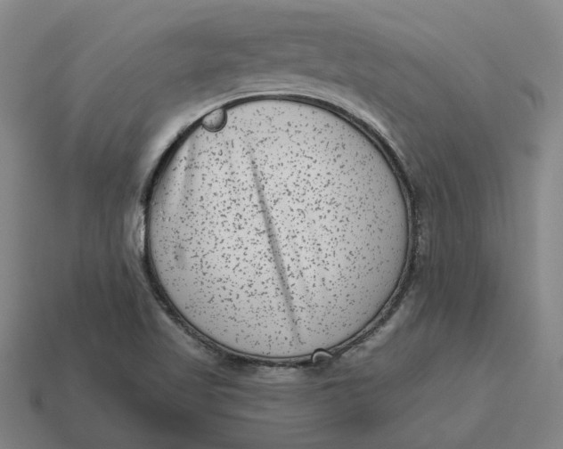 X0000114441509200911061653