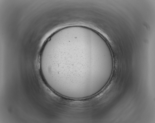 X0000114441510200911061653