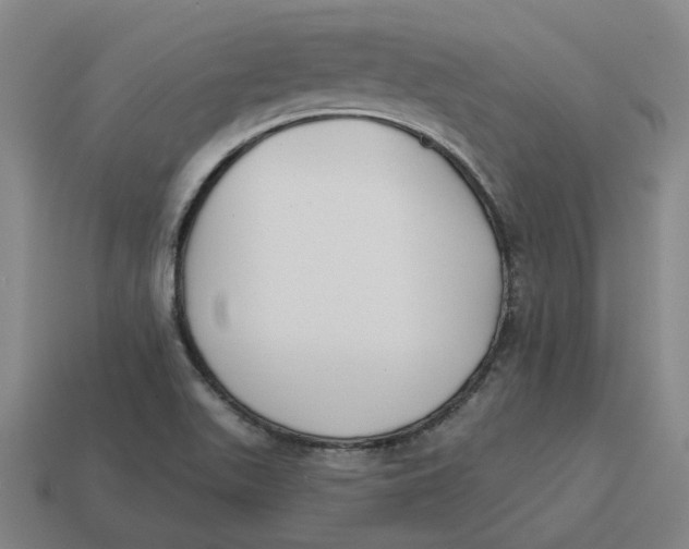 X0000114441511200911061653