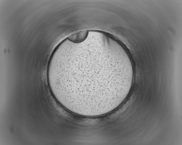 X0000114441513200911061653