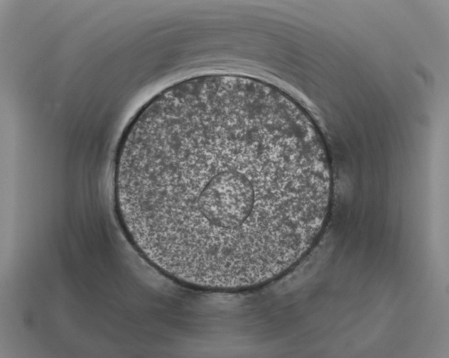 X0000114441514200911061653