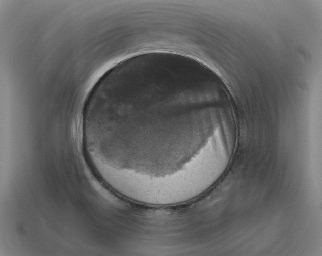 X0000114441515200911061653