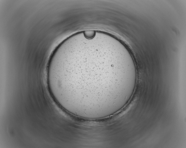 X0000114441517200911061653