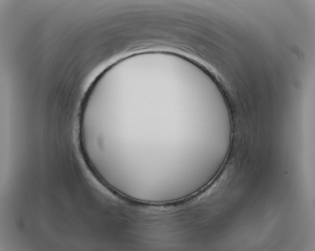 X0000114441518200911061653