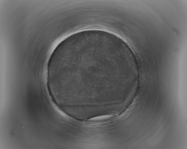 X0000114441519200911061653