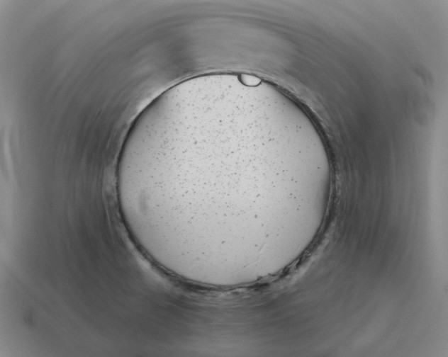 X0000114441521200911061653