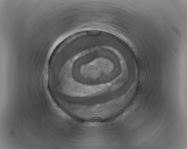 X0000114441522200911061653