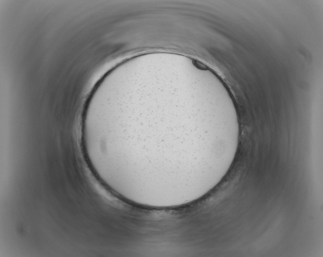 X0000114441523200911061653