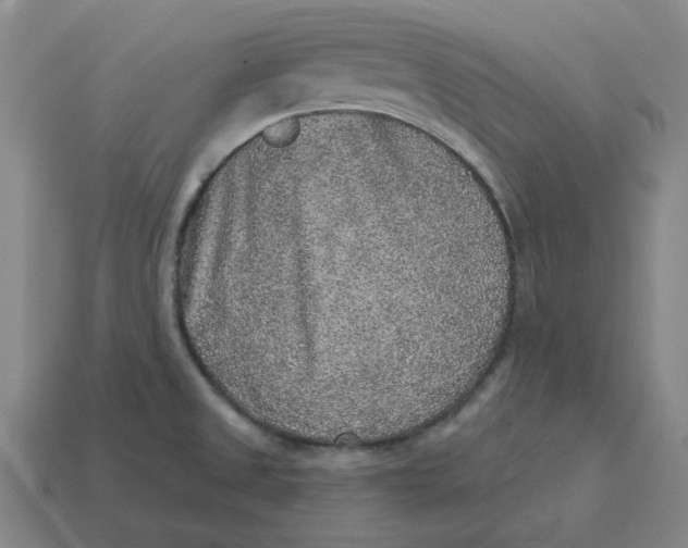 X0000114441525200911061653