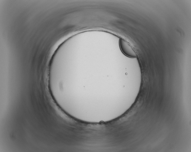 X0000114441526200911061653