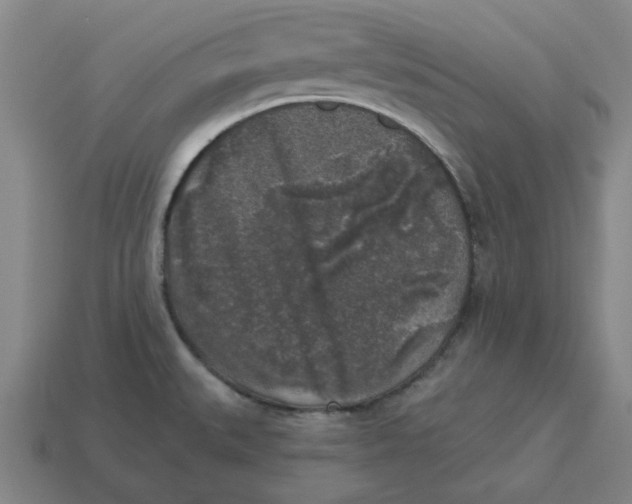 X0000114441527200911061653