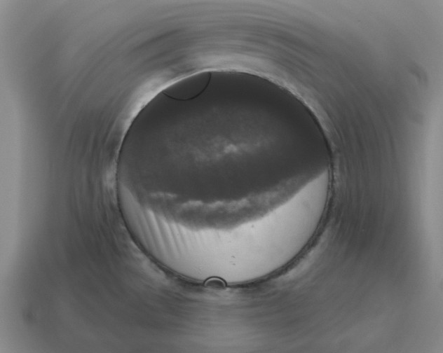 X0000114441529200911061653