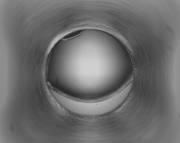 X0000114441530200911061653