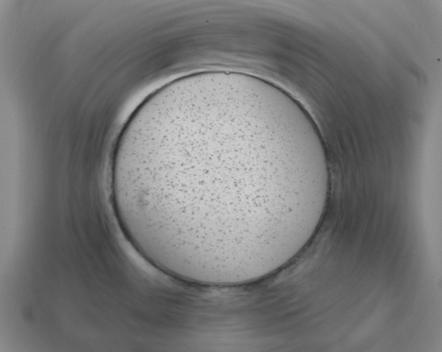 X0000114441531200911061653